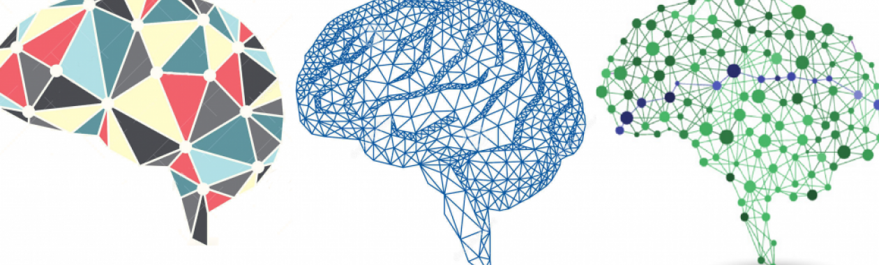 Department of Cognitive Sciences